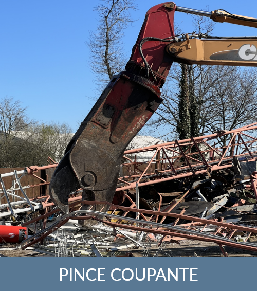 Delaire Fers Et Métaux Prix Fer Rennes PINCE COUPANTE 299